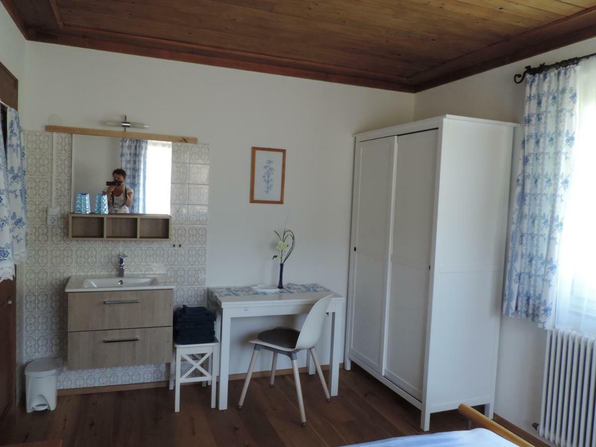 Ferienwohnung Steinberger Bischofshofen Ngoại thất bức ảnh